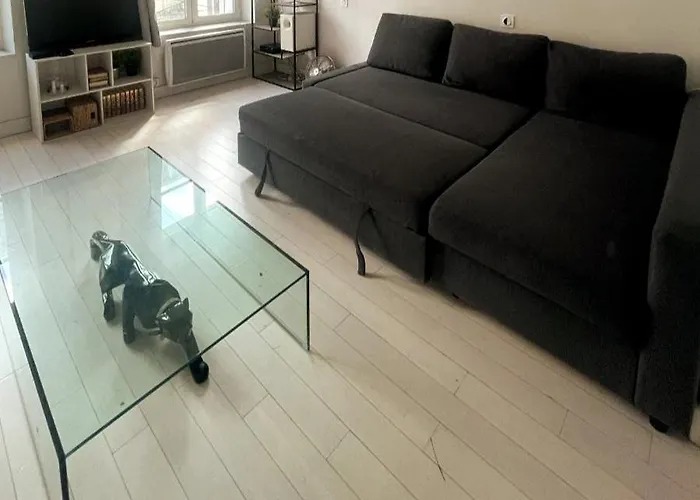 Modern And Bright Bastille Le Marais Apartman
